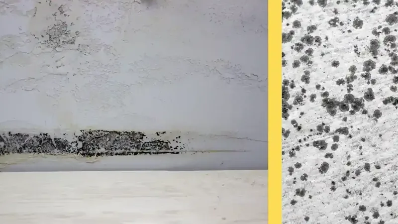 Slab leak water damage restoration Fairfax VA