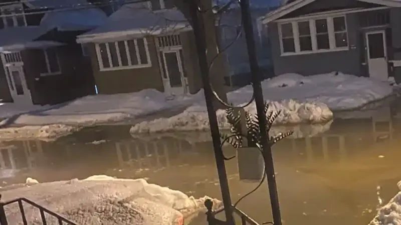 Water main break flooding cleanup Fairfax VA